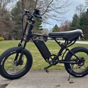 Ridstar Q20 Electric Bike